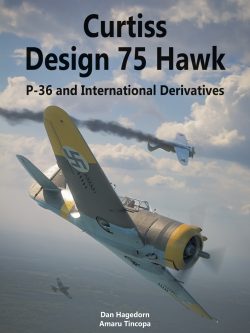 **Curtiss Design 75 Hawk